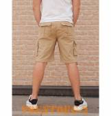 ����� Aviator | ���� coyote